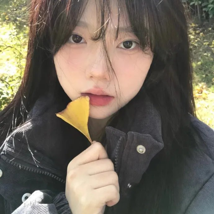 加州玩偶海报
