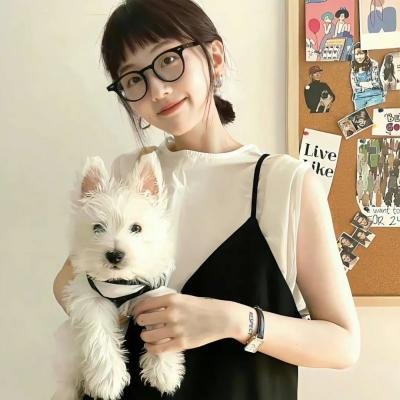 憨豆特工3海报