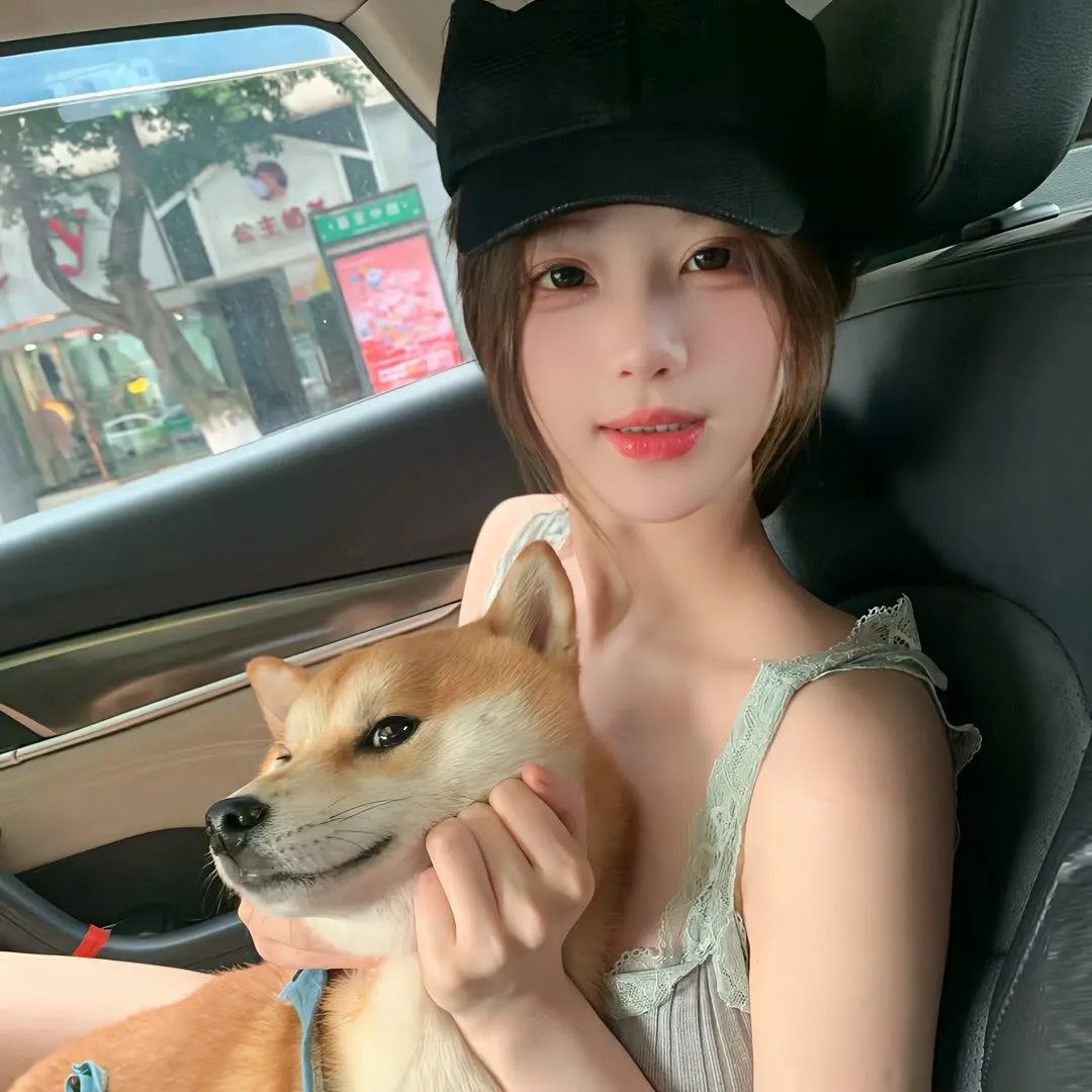 代号九耳犬海报